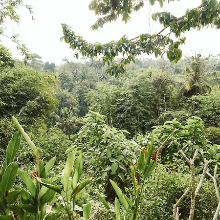 Teba One Cottages Ubud